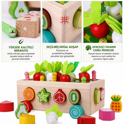 Montessori Ahşap Sebze ve Meyve Eşleştirme Oyunu