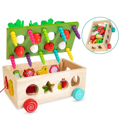 Montessori Ahşap Sebze ve Meyve Eşleştirme Oyunu